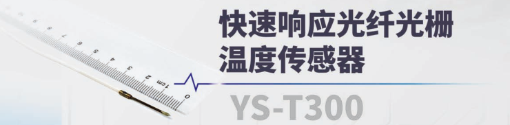 YS-T300.jpg
